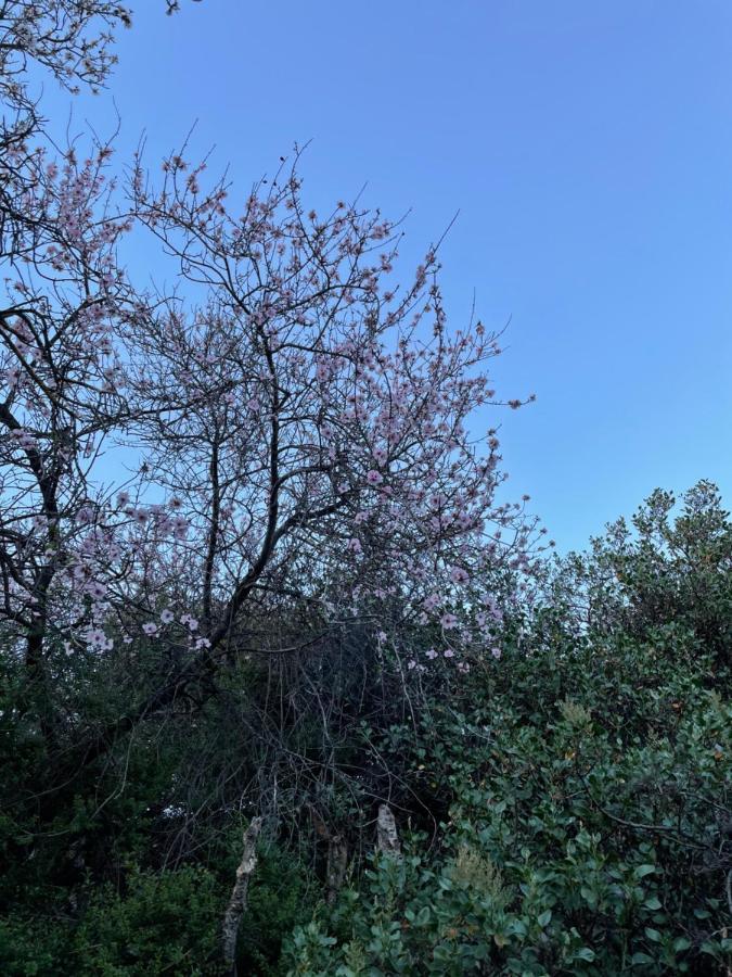 Villa Montana Colorada 엘파소 외부 사진