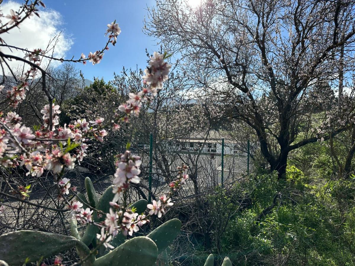 Villa Montana Colorada 엘파소 외부 사진